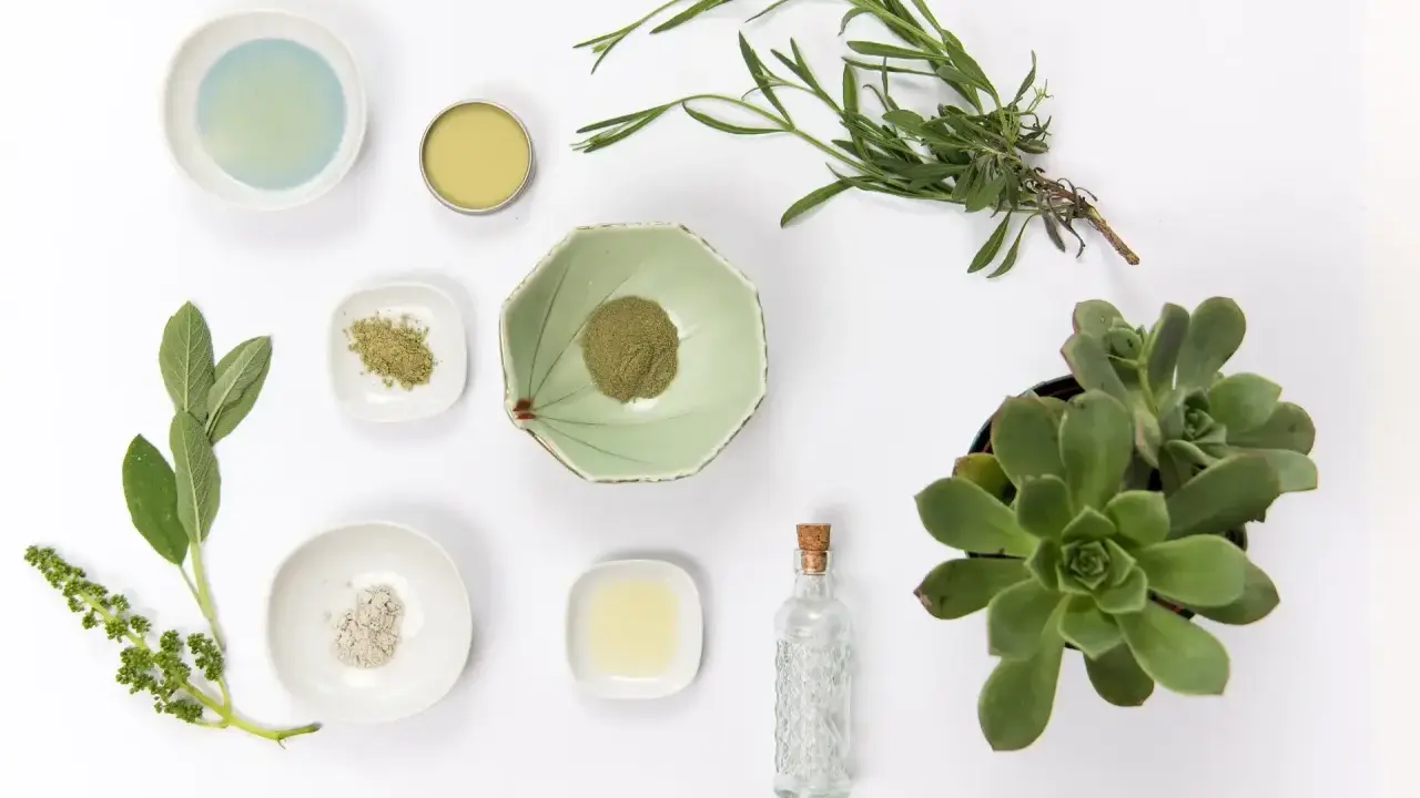 Naturalne składniki do domowego serum do włosów: zioła, proszki, olejek i sukulent.