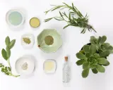 Naturalne składniki do domowego serum do włosów: zioła, proszki, olejek i sukulent.