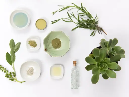 Naturalne składniki do domowego serum do włosów: zioła, proszki, olejek i sukulent.