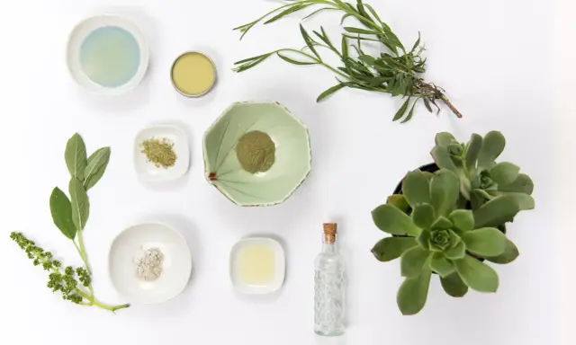 Naturalne składniki do domowego serum do włosów: zioła, proszki, olejek i sukulent.