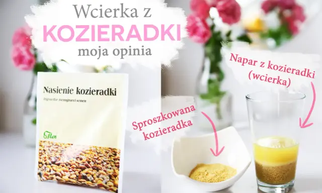 Domowa wcierka z kozieradki na włosy: nasiona, proszek i gotowy napar.